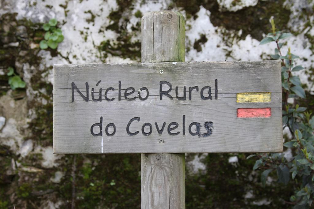 Farm stay Alojamento Rural De *